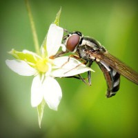 /album/riddles-and-jokes/photolia-a02-jpg/