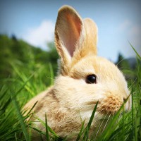 /album/riddles-and-jokes/photolia-a03-jpg/