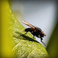 /album/riddles-and-jokes/photolia-a04-jpg/