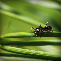 /album/riddles-and-jokes/photolia-a05-jpg/