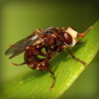 /album/riddles-and-jokes/photolia-a06-jpg/