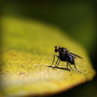 /album/riddles-and-jokes/photolia-a07-jpg/