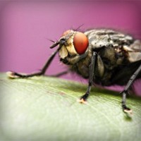 /album/riddles-and-jokes/photolia-a08-jpg/